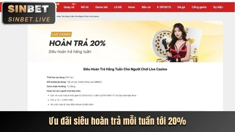 Hoàn trả hàng ngày 88v